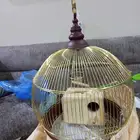 قفص للبيع لجميع ملاحقاته