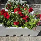 ورد زينه الحبه 1.50 ريال