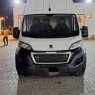 بيجوا بوكسر الموديل 2023