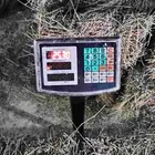 برسيم صافي للبيع