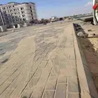 معلم باكستاني بلادور اندلك بلات سلاميك ذبيت