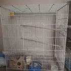 مطير طيور زينه