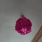 نجف و طابعة و ستارة و برادة و دريل شنيور عرض خاص