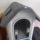 بيت قطط