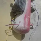 مكاين ورشه لتجهيز أبواب wpc