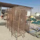 معالق وشبوك