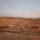 مزارع