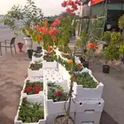 مزارع ومنسق حدائق