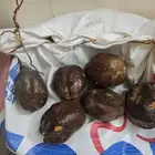 دوم للبيع بالمدينه المنوره جديد وحلو مشروط