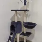 خداشة مع تسلق للقطط