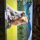LG Screen Model 27MR400 same New one