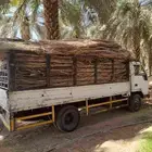 عريش نخيل جد