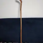 عصا عتم باكستاني