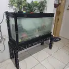 حوض سمك كبير وفاخر شامل الزينه والقاعده للبيع