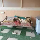 لبيع حديد وجلسه خارجيه ولاعاب غساله مع أغراض