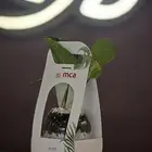 استيكر_سيارات_بالكامل