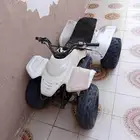 تايوان حجمه 100
