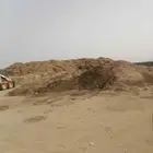 سماد غنم مجاني يشيل الكميه كلها مده اتجميع ازودمن عشرسنوات