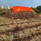 بيع أعلاف قصب