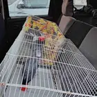 موصل طيور موصل حيوانات اليفه