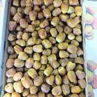 س ري مفتل و رطب