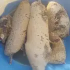 عسل بري حر او جبلي ممتاز جدا سعر الكيلو 130