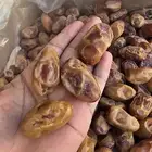 خلاص مزارع الزلفي