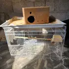 شبكة عصافير ... الي تجود به نفسك تعال وشيل