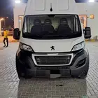 بيجوا بوكسر الموديل 2021