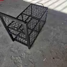 مصيدة قطط