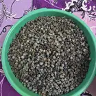 زبيب بلدي شرط على الثري الكيلو 120 ريال كميه محدوده التواصل