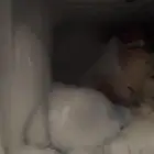 ثلاجه للبيع
