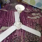 مروحه سقف ياباني مستعمل 100ريال للبيع