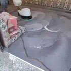 تنظيف مجالس تنظيف سجاد تنظيف البيت مكافحة حشرات