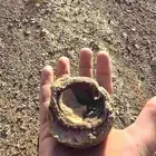 حصاة على شكل فنجال