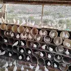 حمام فرنسي سوبر جامبو للبيع