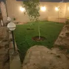 مشتل تنسيق حدائق