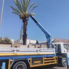 كرين ونش للايجار اليومي وشهري الموقع تبوك 8 طن و 5 طن
