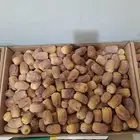 تمر رشودية