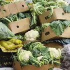 ورقيات خضار لا البيع لا المواشي