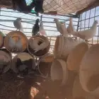 للبيع حمام نضيف