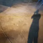 مخادج حق طيور جميع المقاسات متوفره