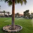 التعديل جميع أنواع النخيل والأشجار