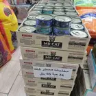 كرتون اكل قطط مستر كات
