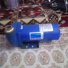 دينمو