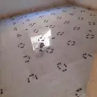 مبلط