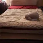 سرير ل نفرين للبيع