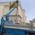 نخل ملوكي بجميع مقاساته