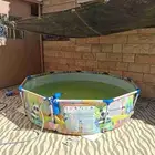 مسبح مع فلتر للبيع