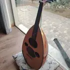 عود زرياب استخدام نظيف
